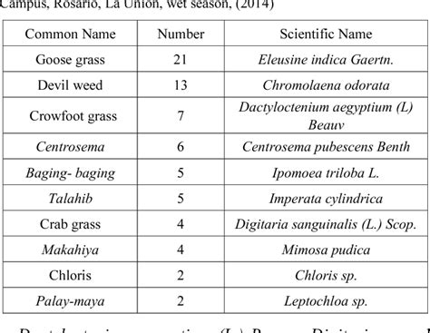 common weeds in the philippines with scientific name|Survey and Identification of Common Weeds Associated with .